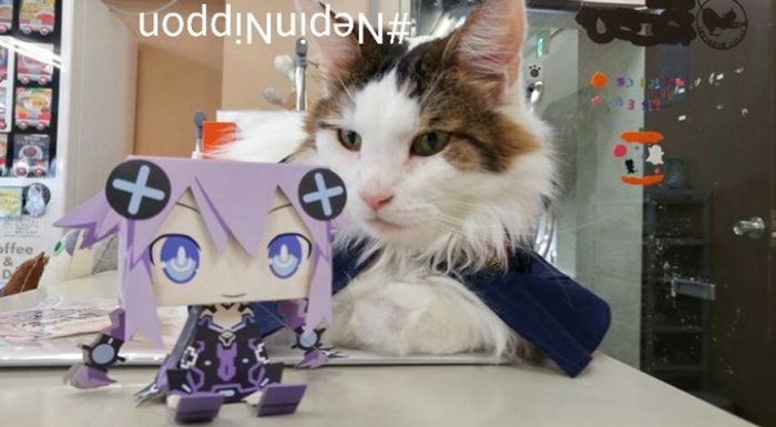 Had to do an HDD transformation for this boss battle against a giant cat at the cat cafe!